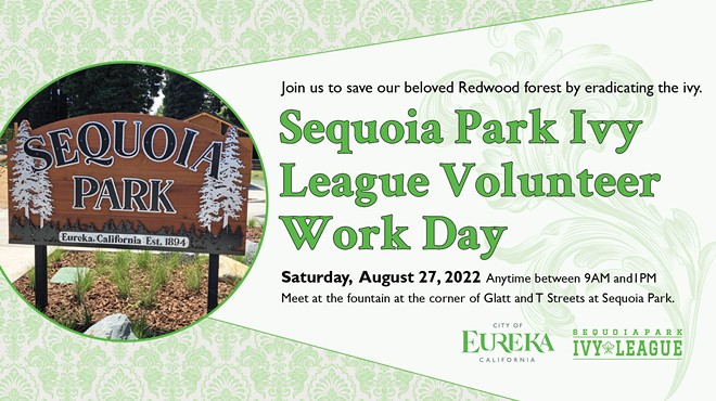 Sequoia Park Ivy League – Volunteer Work Day
