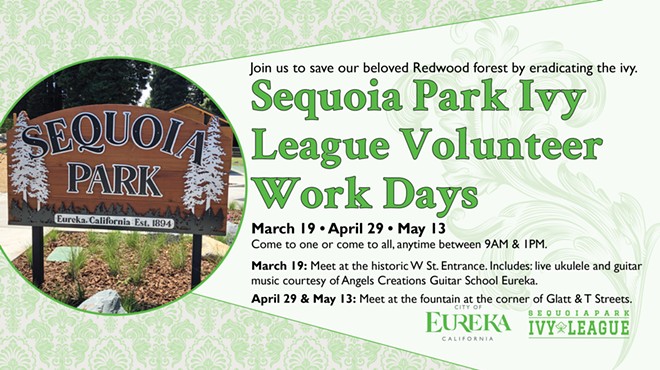 Sequoia Park Ivy League - Volunteer Work Day