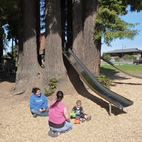 Sequoia Park playground