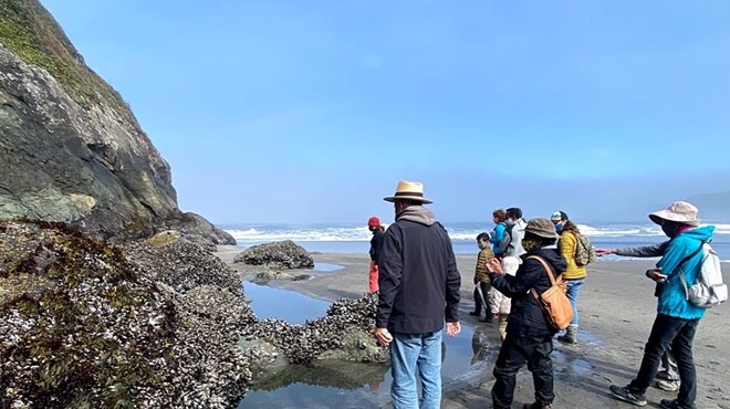 Tidepooling for All Abilities
