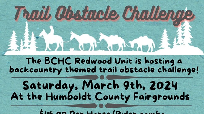 Trail Obstacle Challenge