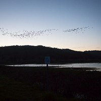 EPA  Announces $300,000 for Additional Humboldt Bay Cleanup, Reuse Effort