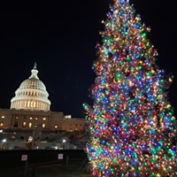 2021 U.S. Capitol Christmas Tree to Hail from Six Rivers National Forest
