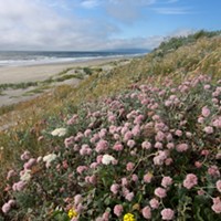 Lanphere Dunes and Ma-le’l Dunes Named National Natural Landmarks