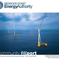 RCEA Annual Community Report 2020