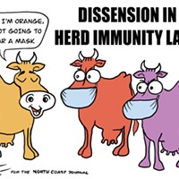 Dissension in herd Immunity Land