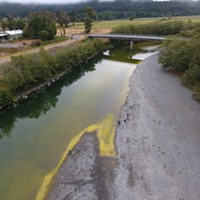 Public Health Warns of Toxic Blue-Green Algae in Local Rivers
