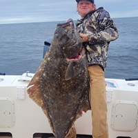 Pacific Halibut Bite Remains Strong