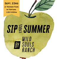 Sip of Summer Hard Cider Festival Tomorrow