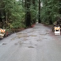 A SoHum State Park Road Set to Close for Weeks in Summer