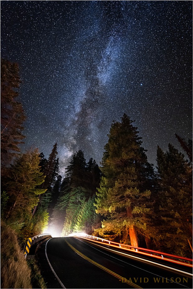 When the Milky Way lines up with the Avenue of the Giants. - DAVID WILSON