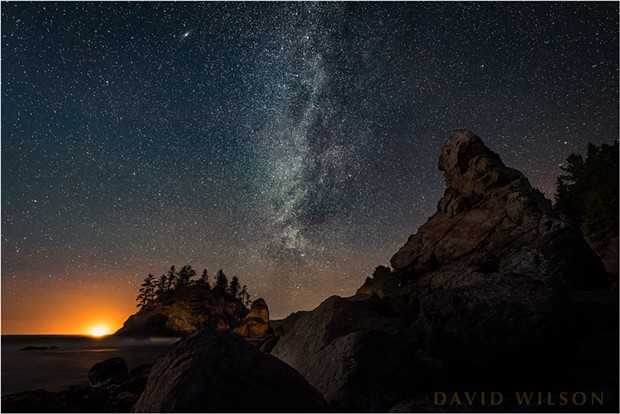 The Grandmother abides. In this much shorter exposure, the stars and other celestial objects have been stopped. Sister Galaxy Andromeda is the bright, smeared “star” near the top to the left of the Milky Way. Trinidad, Humboldt County, California. February 6, 2019. - DAVID WILSON