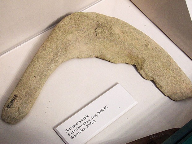Sumerian baked clay sickle, circa 3000 B.C. Sumerians began farming and domesticating animals 2,000 years earlier. Sickles were used to cut and collect grains like wheat and barley. With a surplus of storable food, the population grew, eventually resulting in urbanization. - PHOTO BY MAKSIM VIA CREATIVE COMMONS
