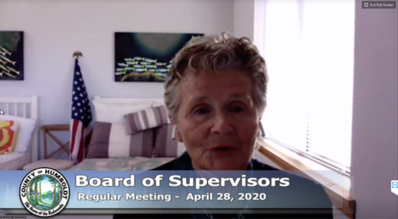 Second District Supervisor and board Chair Estelle Fennell - ACCESS HUMBOLDT SCREEN SHOT