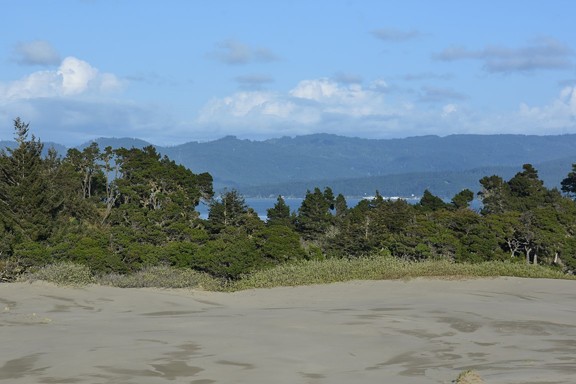 The Samoa Dunes on the Dog Ranch property. - ANDREA PICKART