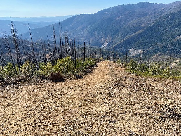 A fire line on the August Complex. - U.S. FOREST SERVICE