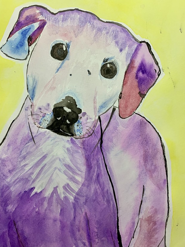 Tatum Fisher's watercolor painting of Myer, a Sequoia Human Society adoptable dog. - SUBMITTED