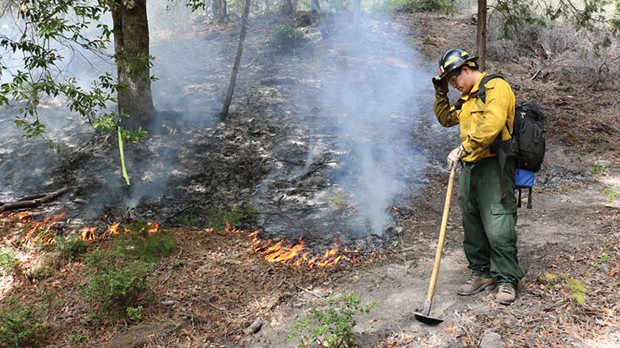 Rony Reed, a local Karuk tribal member who grew up dipnet fishing with his father just across the confluence at Ishi Pishi Falls, patrols the progress of a prescribed fire as part of the TREX burn training. He said it helped restore the fire management practices used a century ago by local Indians, until such burning was forcibly outlawed. - PHOTO BY STORMY STAATS/KLAMATH SALMON MEDIA COLLABORATIVE