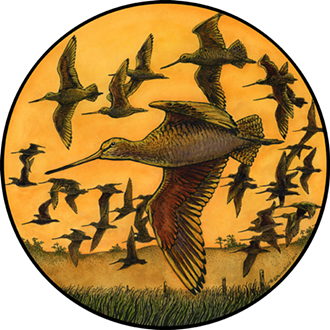 Flying Godwits artwork by Gary Bloomfield