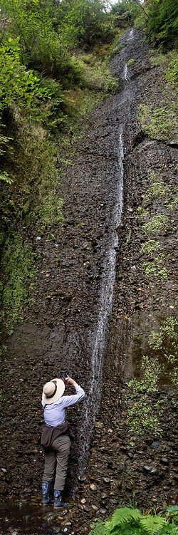 A tall waterfall coming off the bluffs at Gold Beach along the Coastal Trail north of Fern Canyon. - PHOTO BY MARK LARSON