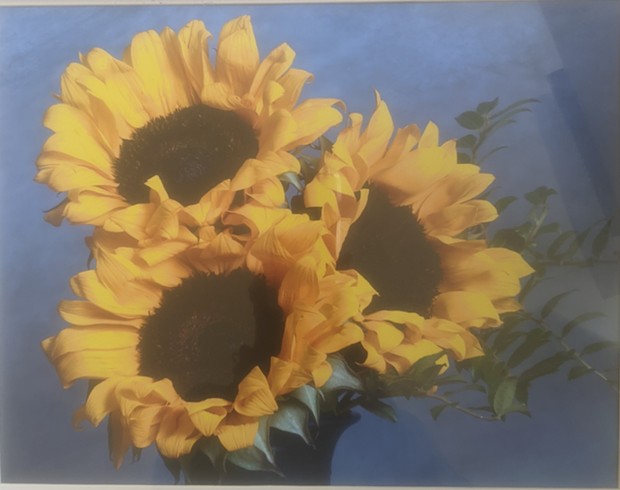 "Three Sunflowers" by Steve Lemke - SUBMITTED