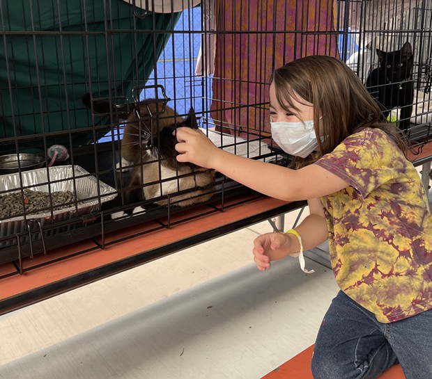 Ceallaigh Kelley visits with her cat Brownie at an evacuation center in Willow Creek after both were evacuated from their home Saturday. - ALLIE HOSTLER