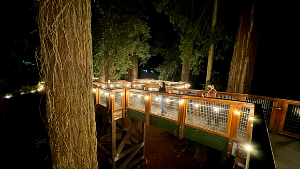 Illuminated Redwood Sky Walk at Sequoia Park Zoo - COURTESY SEQUOIA PARK ZOO AND FOUNDATION