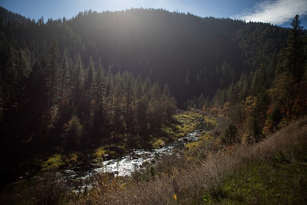 The Scott River flows through the mountains near Klamath National Forest on Oct. 30. - PHOTO BY LARRY VALENZUELA, CALMATTERS/CATCHLIGHT LOCAL