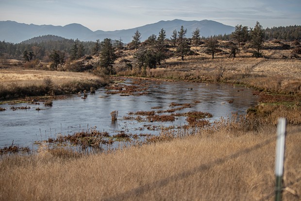 The Big Springs Creek flowing into the Shasta River in Siskiyou County on Oct. 30. - PHOTO BY LARRY VALENZUELA, CALMATTERS/CATCHLIGHT LOCAL
