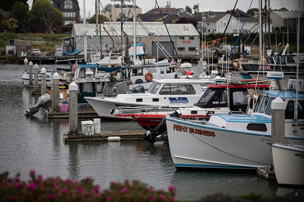 Fishing boats docked at the marina at Humboldt Bay in Eureka on June 6, 2023. - PHOTO BY LARRY VALENZUELA, CALMATTERS/CATCHLIGHT LOCAL