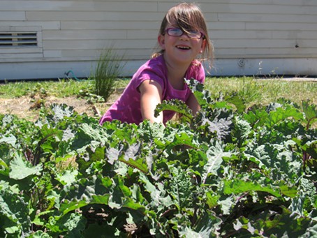Erin Rose Davis plucks a weed from the kale patch. - LINDA STANSBERRY