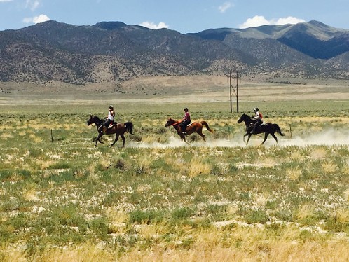 Riders kick up some dust in Nevada. - CHRIS LANGE