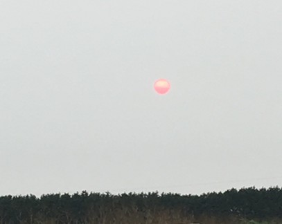 The red, smoke-filtered sun over the Arcata Bottoms. - THADEUS GREENSON