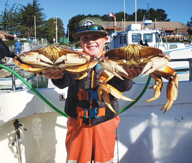 Nine-year-old Parker Blasi of Eureka shows off a haul of fresh Dungeness crabs from 2019. The sport Dungeness season will kick off this Saturday.