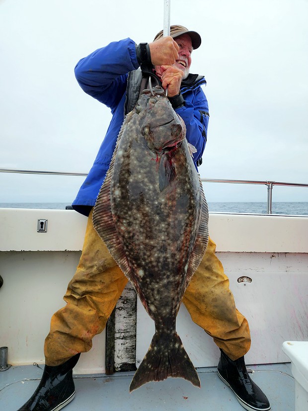 Kit Mann, of Blue Lake, landed a nice Pacific halibut last week while fishing out of Eureka aboard the Seaweasel II.