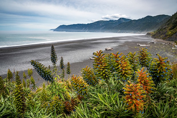 Black Sands Beach north of Shelter Cove, the south end trailhead of the Lost Coast Trail.