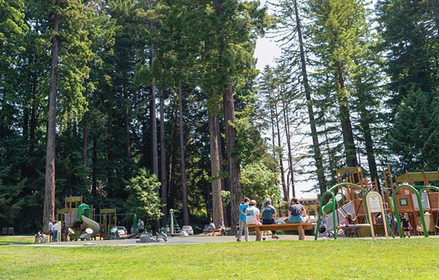 Redwood Park.