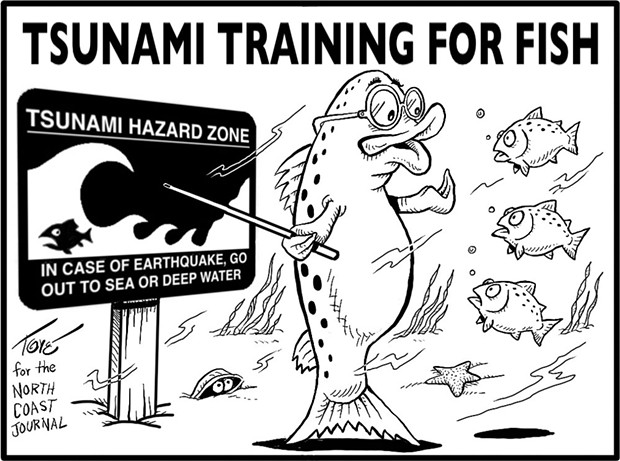 Tsunami Training for Fish