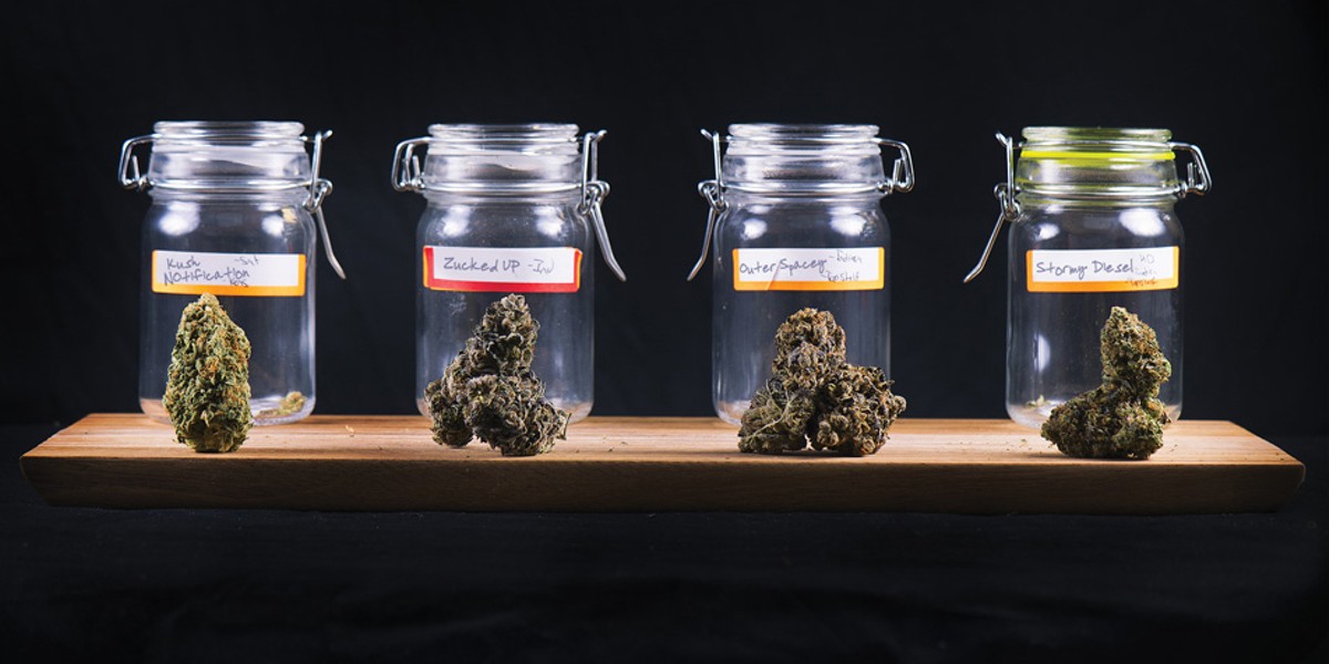 Indica, Sativa No More: Why Your Favorite Strain Is Now Passé
