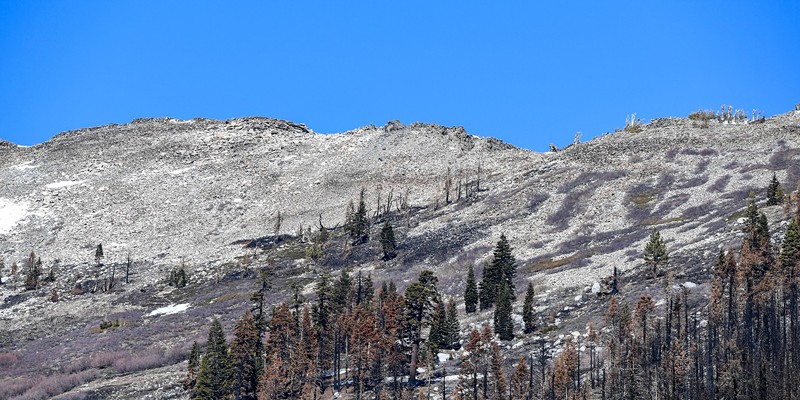 Nearby mountain peaks with only small patches of snow near the Phillips Station meadow, shown shortly before the California Department of Water Resources conducted the forth media snow survey of the 2022 season at Phillips Station in the Sierra Nevada Mountains. The survey is held approximately 90 miles east of Sacramento off Highway 50 in El Dorado County. Photo taken April 1, 2022.