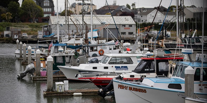 Fishing boats docked at the marina at Humboldt Bay in Eureka on June 6, 2023.