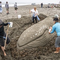 The Best of Show sand sculpture "Tale of the Plastic Whale," neared completion with the help of Northcoast Environmental Center volunteers Taylor Zenobia (left), Casey Cruikshank (right) and NEC Coastal Program Coordinator Madison Peters.