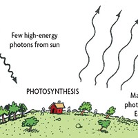 The sun, our source of low entropy, emits useful energy as visible light photons that power photosynthesis on Earth. Our planet radiates (nearly) as much energy as it receives in the form of "low quality" infrared photons, that is, heat.