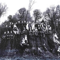 A group of school children stand on the Fieldbrook Giant's stump.