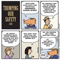 Trumping our Safety 2020