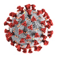Electron microscope view of coronavirus. The spikes on the outer surface contain both molecular "grappling hooks" and "can openers" to allow the virus to enter a cell.