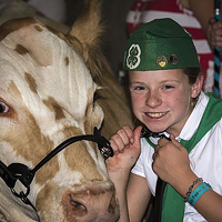 Proud 4-H kid Jocie Hague with her prize cow at the Humboldt County Fair. The Redwood Acres Fair, which also features 4-H and FFA animals, is canceled for 2020.