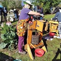 Sara Borok masked and pressing apples on her hand-cranked press.