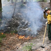 Rony Reed, a local Karuk tribal member who grew up dipnet fishing with his father just across the confluence at Ishi Pishi Falls, patrols the progress of a prescribed fire as part of the TREX burn training. He said it helped restore the fire management practices used a century ago by local Indians, until such burning was forcibly outlawed.