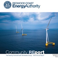RCEA 2020 Annual Community Report